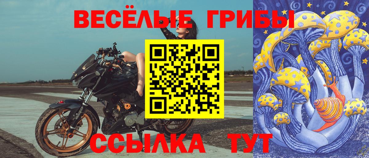 Псилоцибиновые грибы Magic Shrooms  Вход с VPN  Псилоцибиновые грибы MAGIC MUSHROOMS  Тосно 